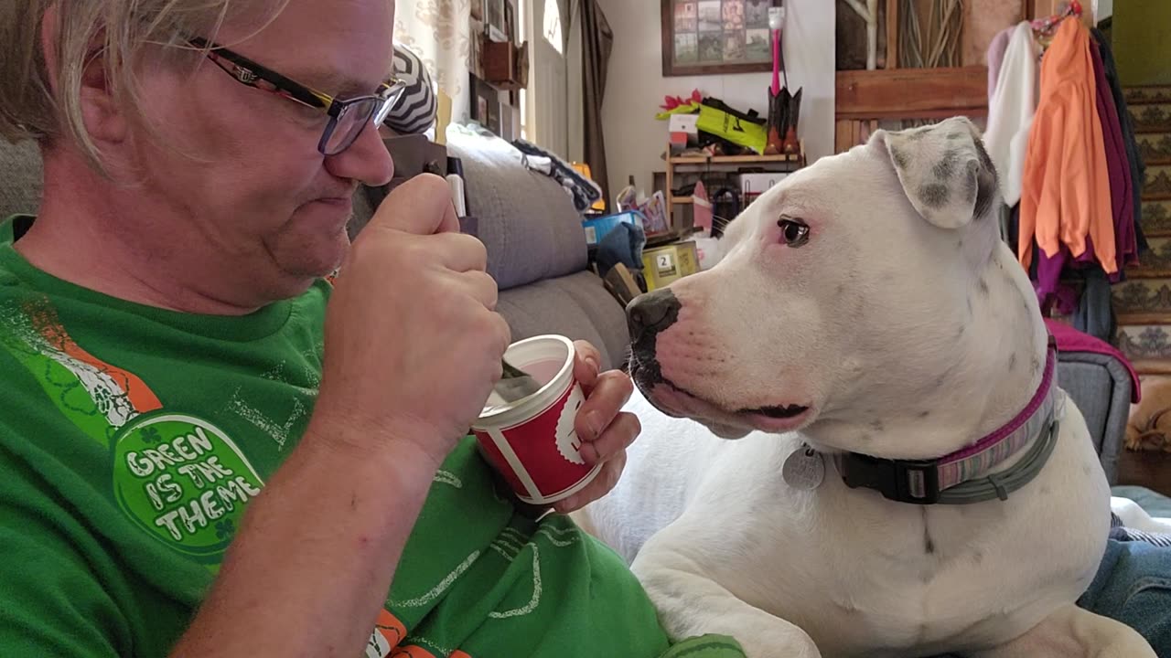 Must share Italian Ice