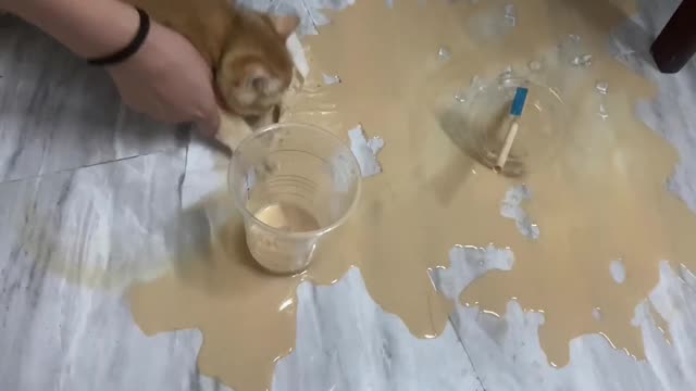 I'm in harmony