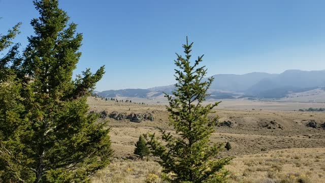 Prairie Hug & Hospital Views