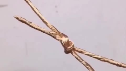 Lifehack How to bind bare wires together easily