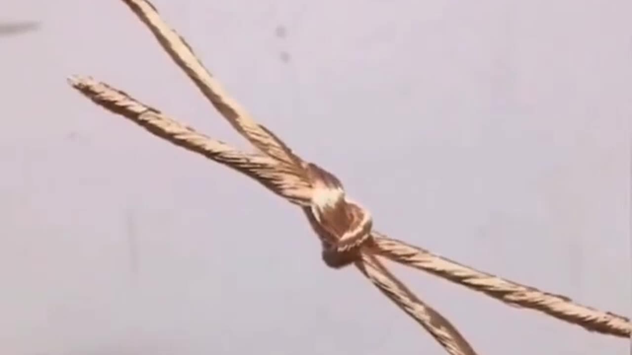 Lifehack How to bind bare wires together easily