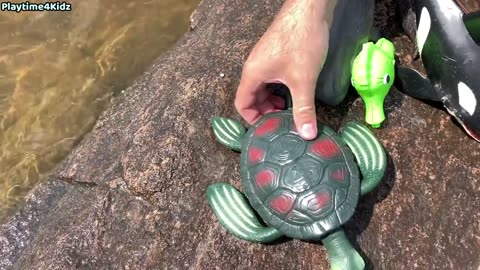 Cartoon sea animals toys for summer