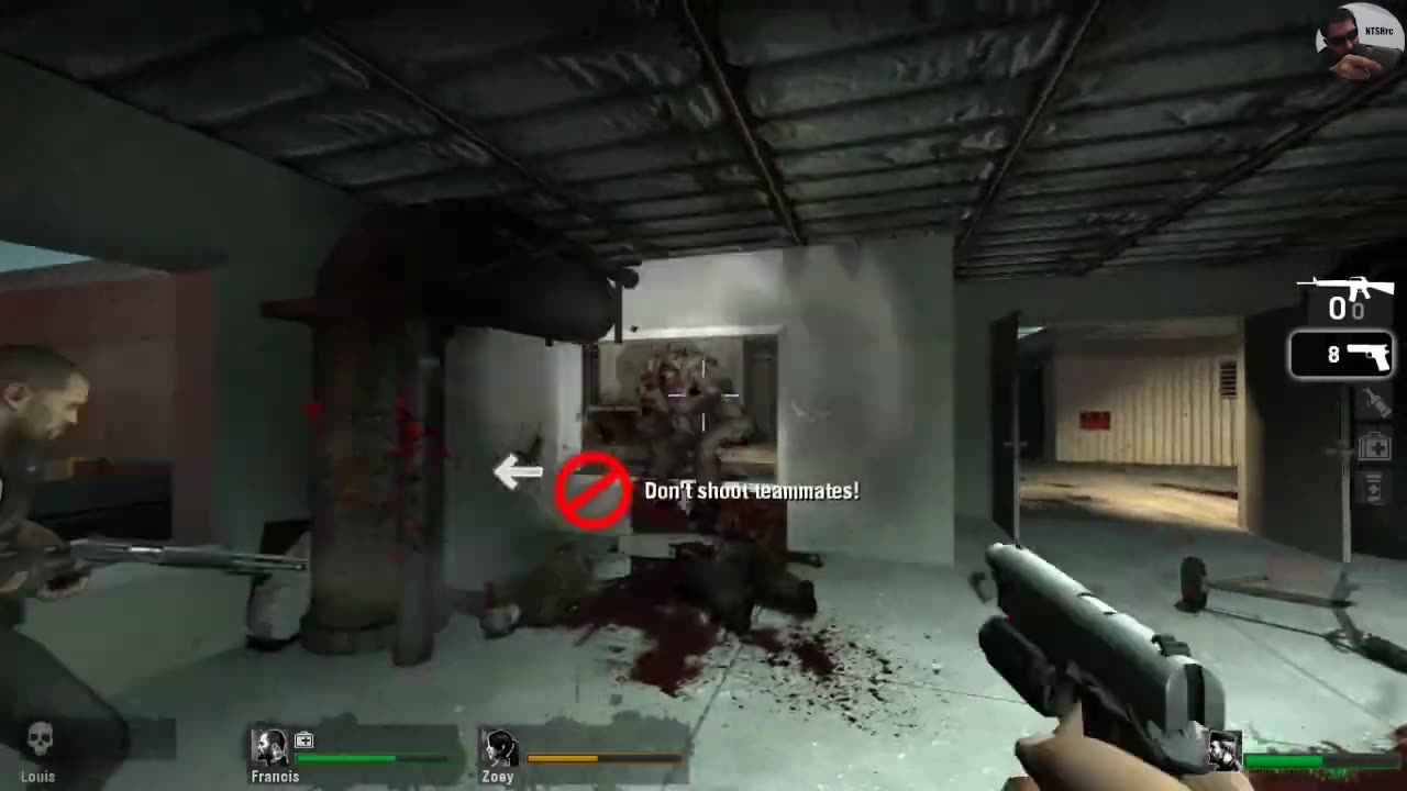 Left 4 Dead gameplay