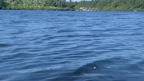 DIP IN THE LAKE