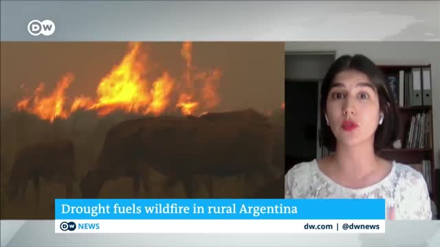 Firefighters in northern Argentina are struggling to contain massive wildfires | DW News