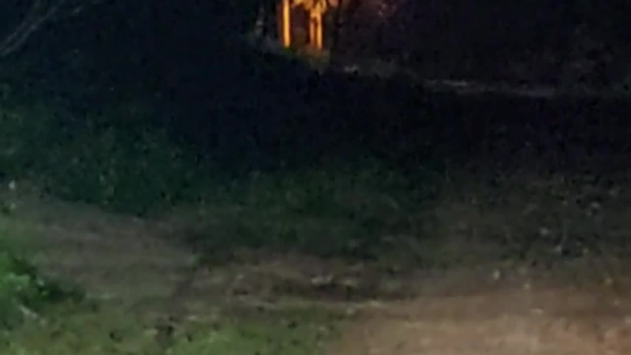 foi um susto danado o que eu vi