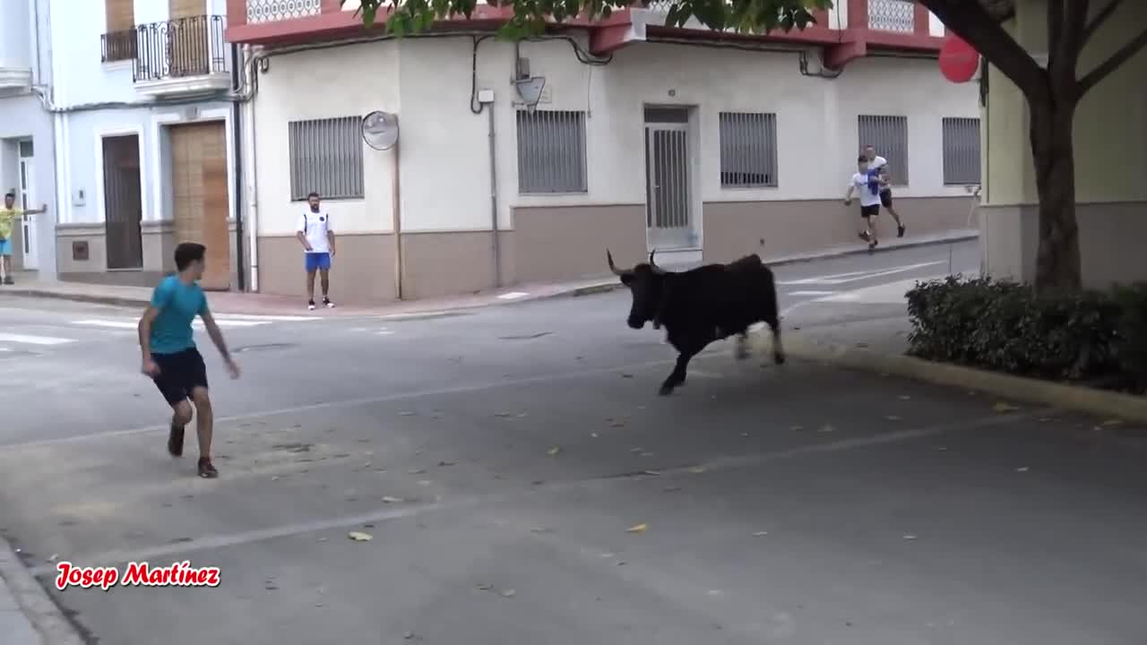 Bulls Chasing People