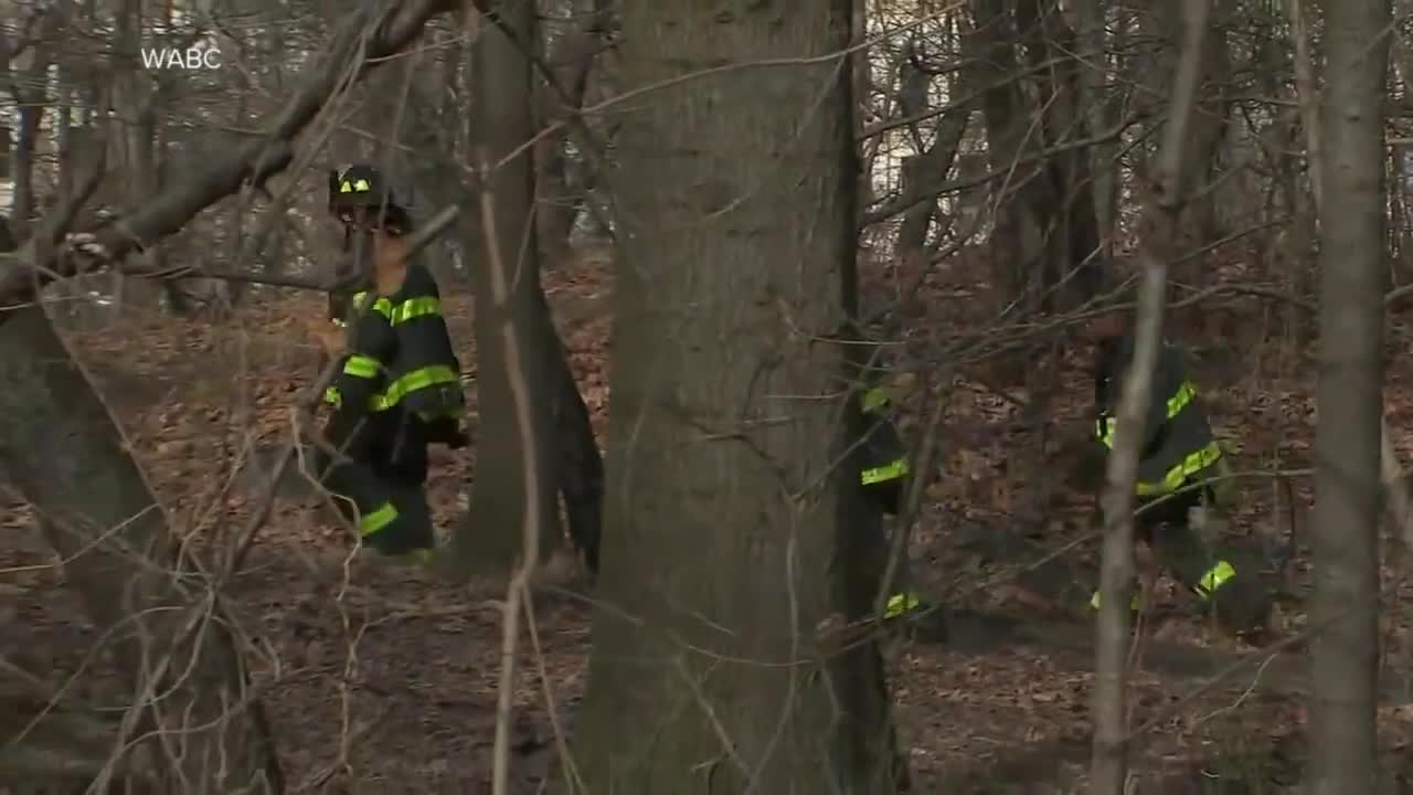 Investigators suspect arsonist in Central Park