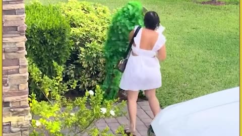 VIDEOFUNNY