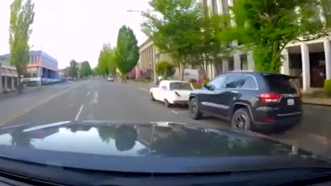 .Duck Flies And Stop In Front of Moving Truck And Refuses To Go Away -