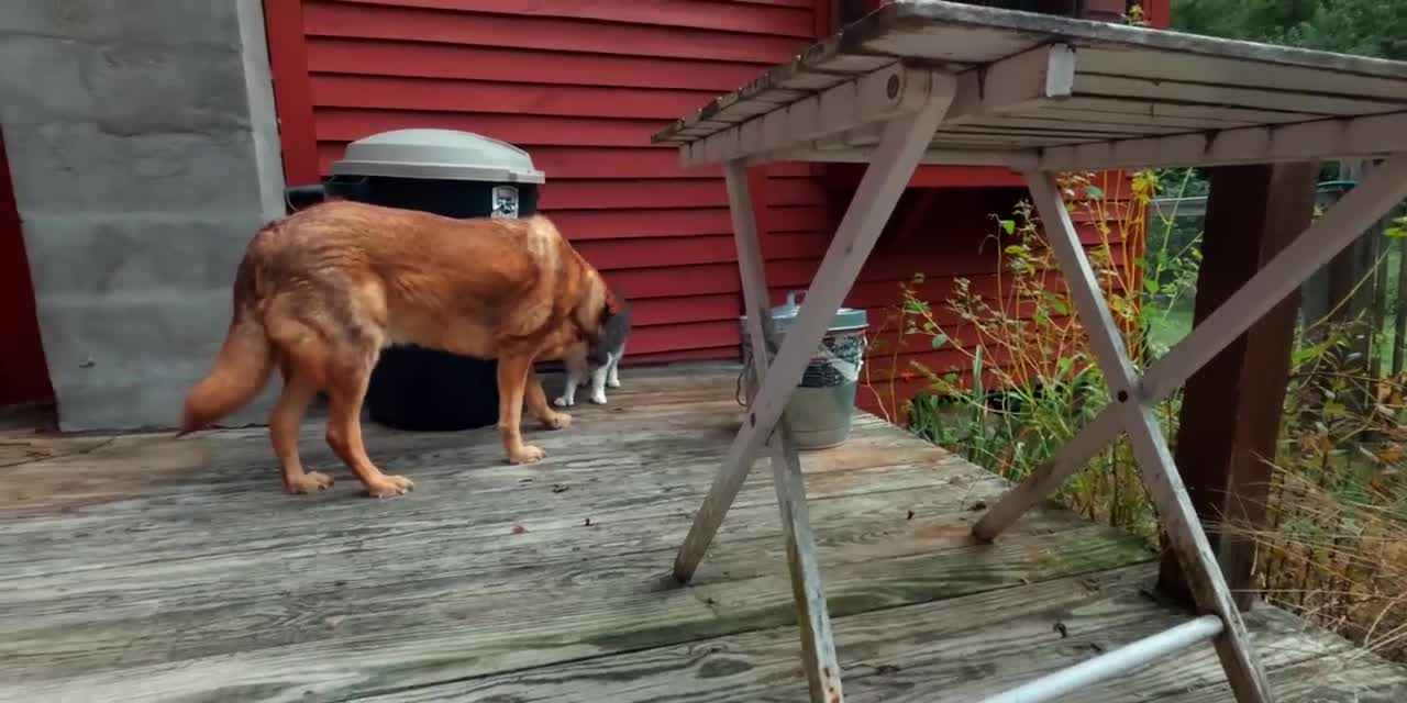 First Day of Fall 🍂 Autumn Overnight at Off Grid Riverside Cabin 🍁 Fall Foliage Adventures-17
