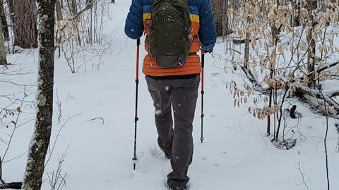 North Country Trail day hike Park Rapids MN April 17 2022