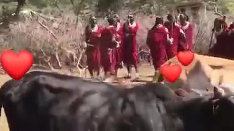 MAASAI CULTURE