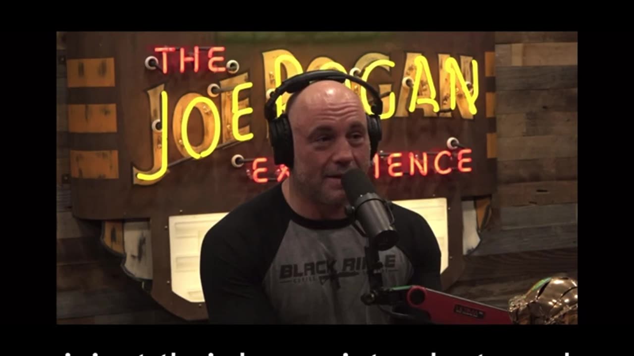 "100 Different Types of Parasitic Wasps" | Joe Rogan | Forrest Galante