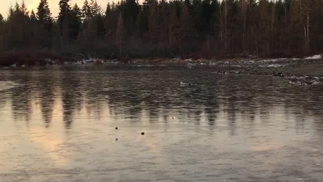 Skipping Stones Over Frozen Lake Sound Like Laser Blasters