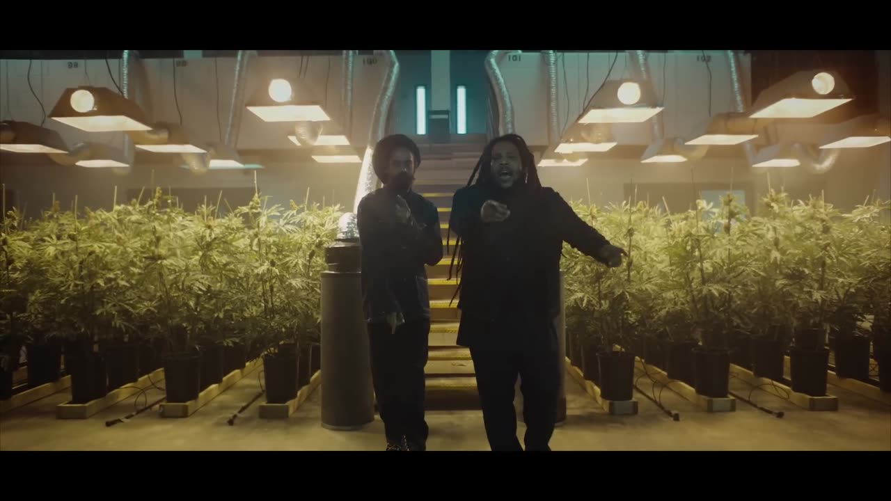 Damian :jr. Gong : Marley-Medication ft. Stephen