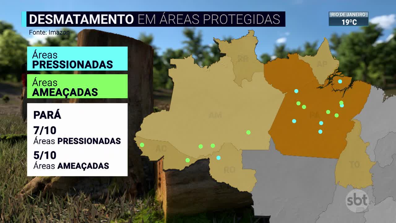 Estudo revela desmatamento em áreas protegidas da Amazônia