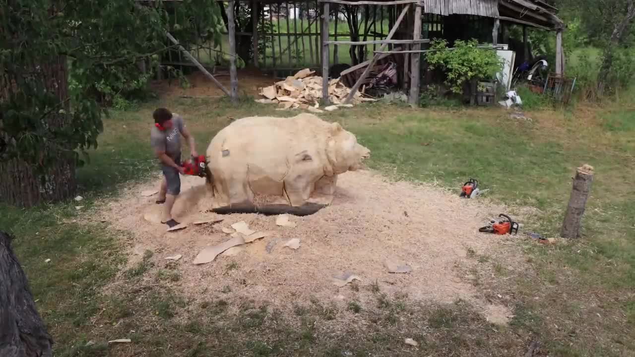 REAL SIZE WOODEN BEAR, amazing chainsaw wood carving