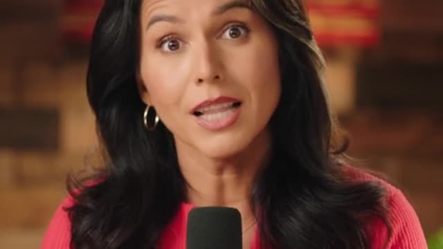 Tulsi Gabbard: authoritarianism, the use of law enforcement agencies by weaponizing them to go after ordinary citizens as domestic terrorists (2nd Amendment)