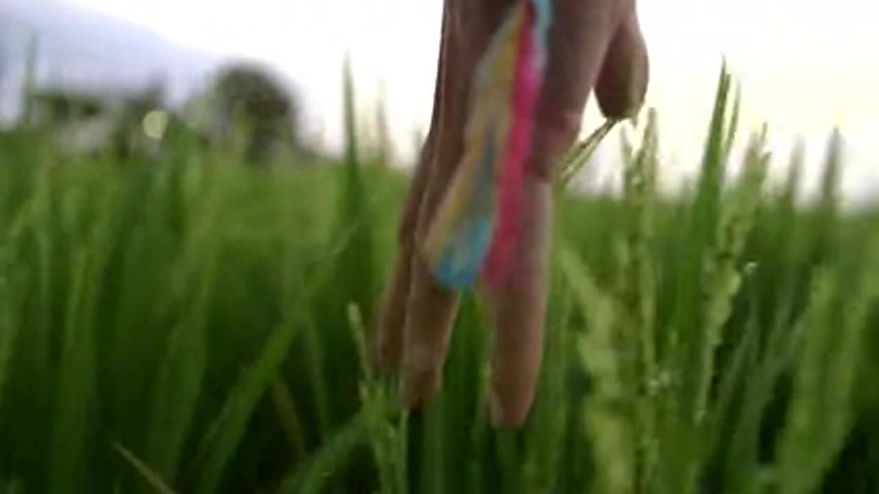 Beautiful Nature video # 2