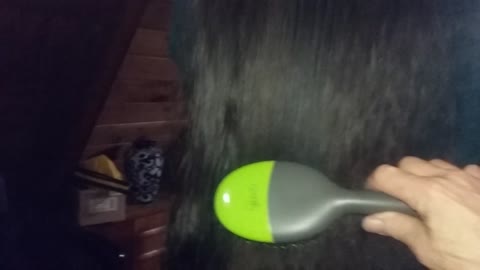 Brushing her hair take a forever.