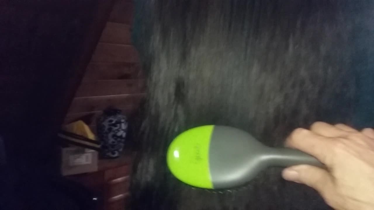 Brushing her hair take a forever.