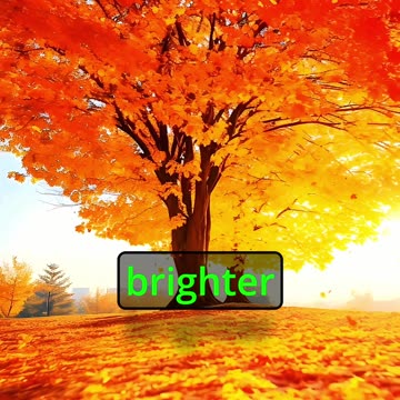 "Embrace the Light Within" #motivational