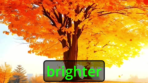 "Embrace the Light Within" #motivational