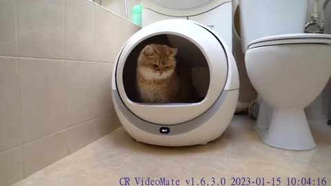 Space technologies, even humans don't have such a litter box for cats!