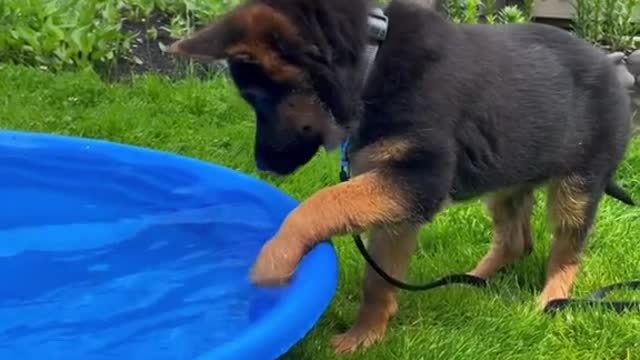 When Mom gets you a pool