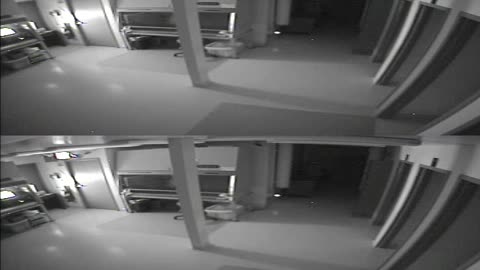 1702CRIB01CribAnalysisArea_2021-01-05_07h00min00s467ms.mp4