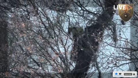 The winter and the Ukrainian drones are taking out Russian troops.
