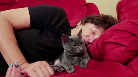 Woman and cat sleeping on couch