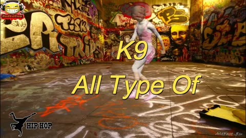 AUDIOBUG HIP HOP K9 - All Type Of #audiobug71 #hiphop #music
