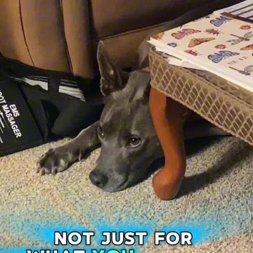 Make the world better