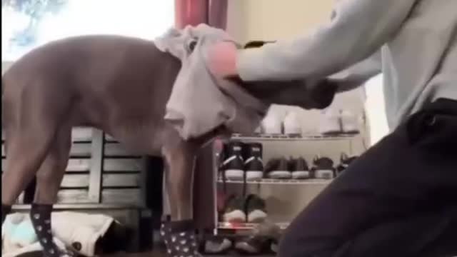 Protecting Your Friend