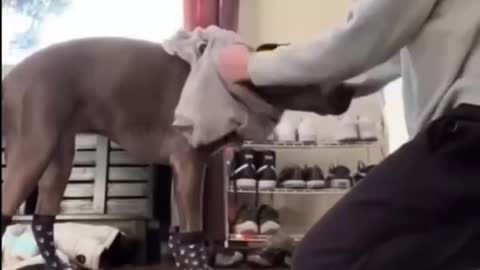 Protecting Your Friend