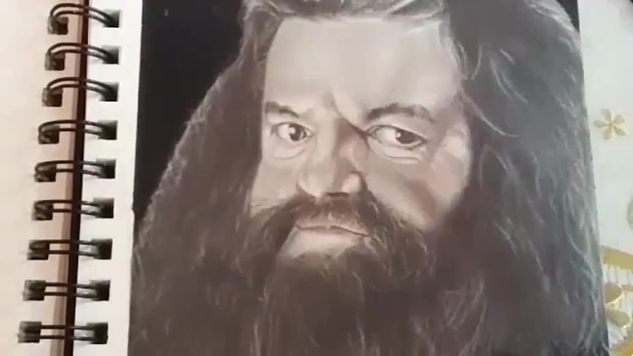 My Artwork ❤Hagrid from Harry Potter film series.