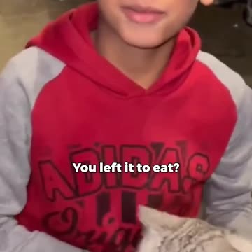 Palestinian boy saved his cat despite barely having food for himself