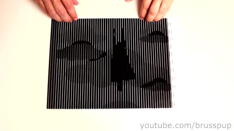 Amazing Animated Optical Illusions