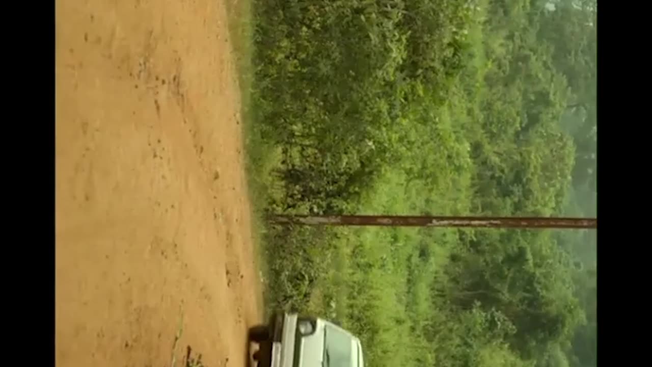 Pushpa p4