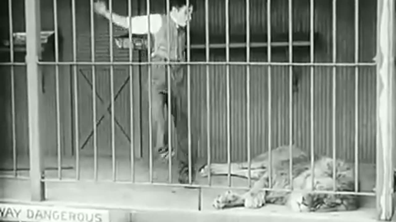 Charlie Chaplin - The Lion's Cage