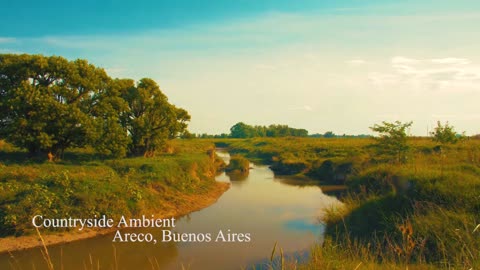 Nature Sounds Countryside Ambience SFX (Free Download)