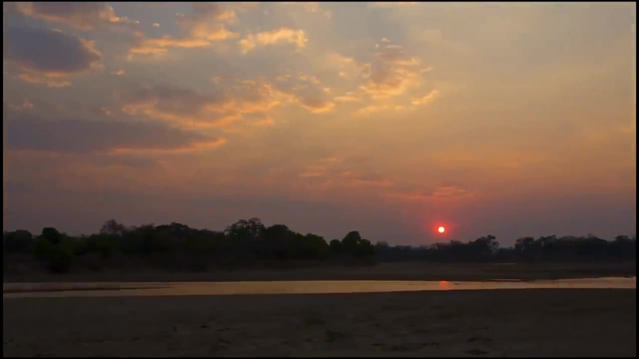 Luangwa Valley's Strongest LION PRIDE - Ep 1