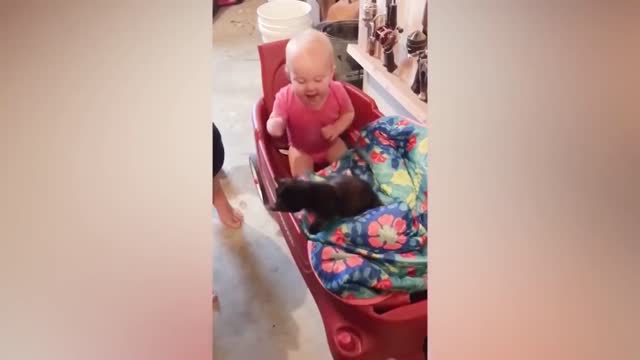 Baby vs cats