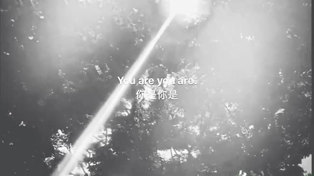Sad Quotes That will Make you Cry || Most Heart Touching Quotes. Top 16