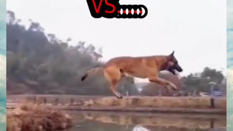 Spirit-Led VS Flesh-Led Christian--Funny, Not Funny
