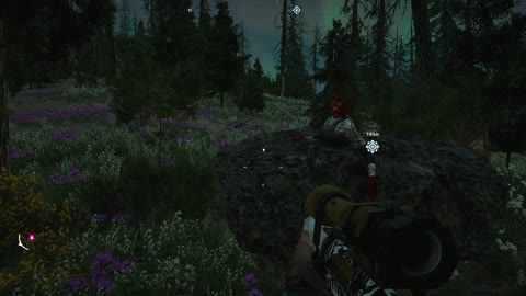 Far Cry New Dawn Rock Glitch