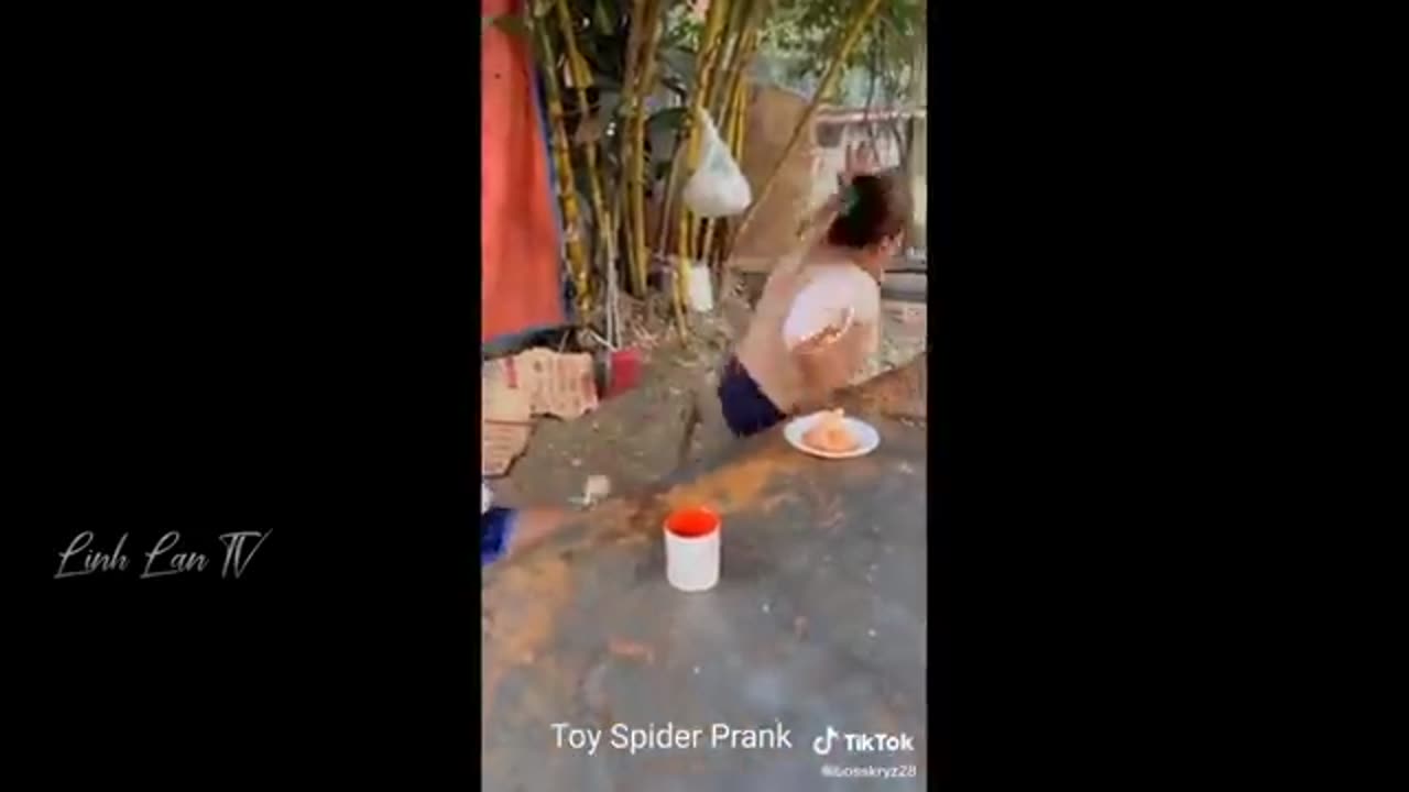 Funny video in the year so nice