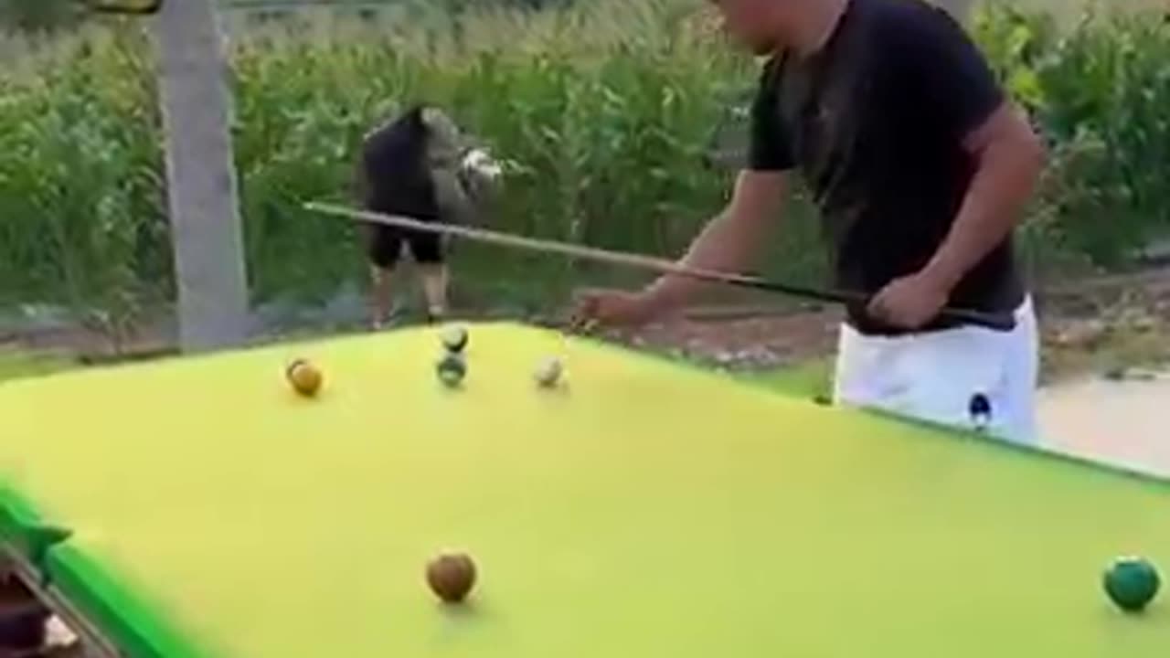 Funny Video Billiards million views